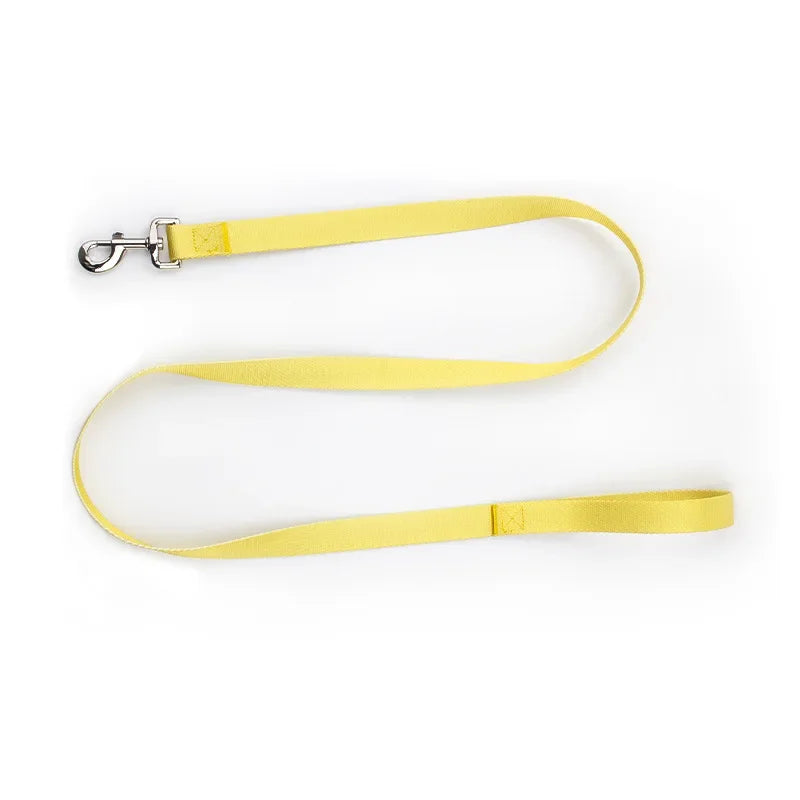 Nylon Adjustable Dog Collar Leash Lead Pet Cat Dog Collar Traction Leash Suitable for Small Large Dogs Bulldog Pugs Beagle