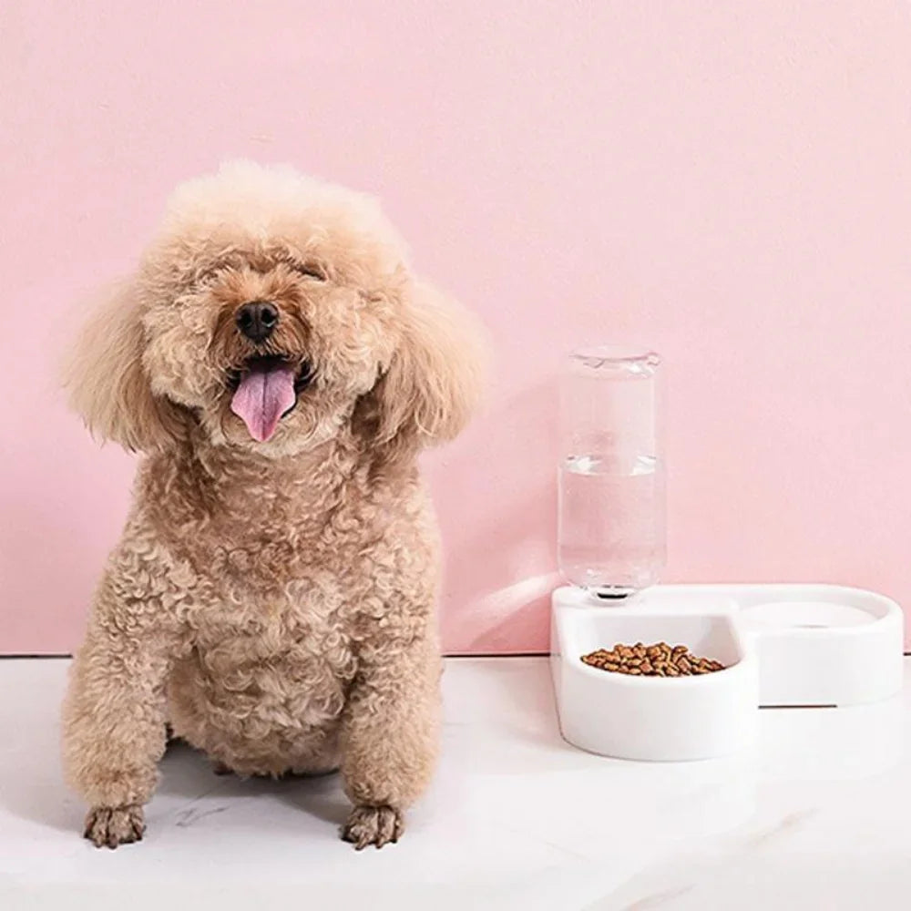 Automatic 500ml Pet Feeder & Water Bowl, Portable Slow-Feed Food Dish for Cats & Dogs, Living Room & Bedroom Use