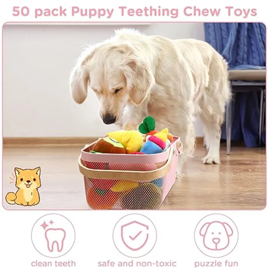 50 Pack Easter Dog Squeaky Toys Set Cute Stuffed Plush Dog Toy with Ropes Bulk Puppy Chew Toys for Small Medium Puppies Pets Te