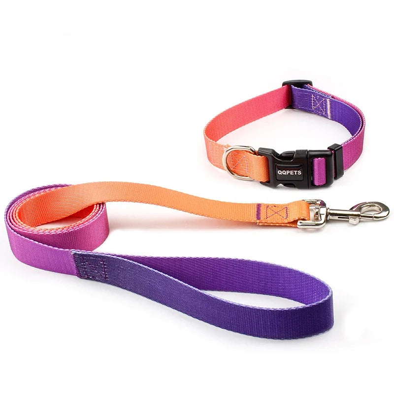 Nylon Adjustable Dog Collar Leash Lead Pet Cat Dog Collar Traction Leash Suitable for Small Large Dogs Bulldog Pugs Beagle