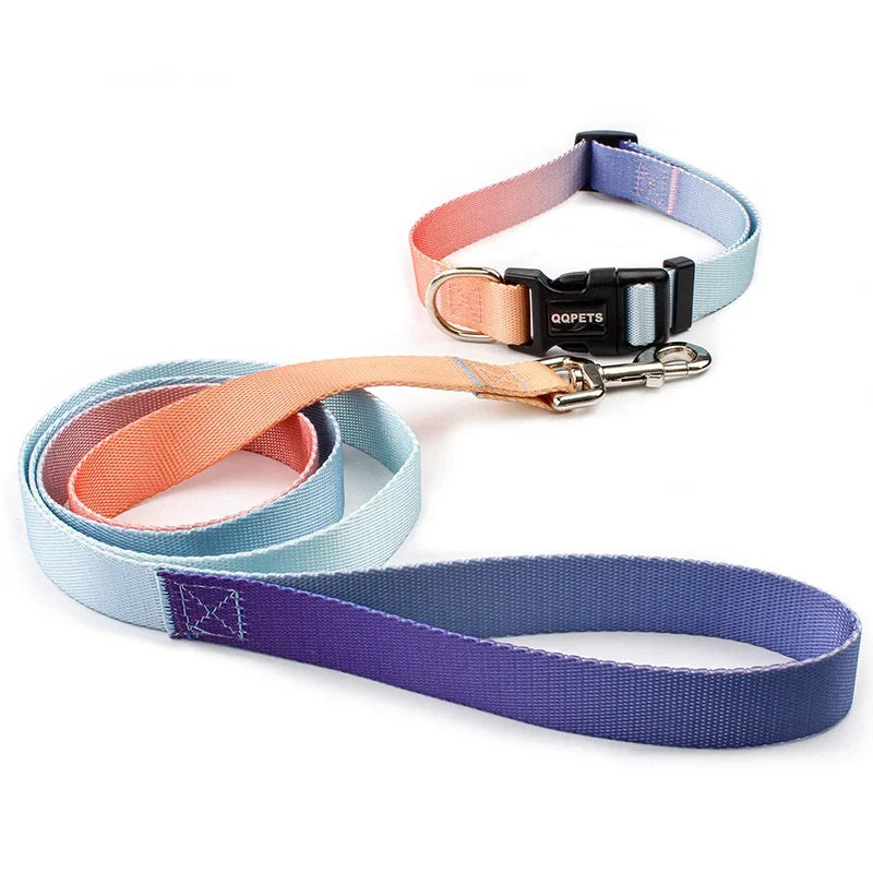 Nylon Adjustable Dog Collar Leash Lead Pet Cat Dog Collar Traction Leash Suitable for Small Large Dogs Bulldog Pugs Beagle